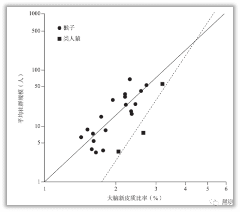 社交的本质